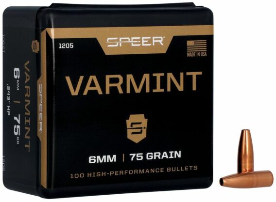 Speer 6mm Varmint Hollow Point Bullet .243 75 Grain