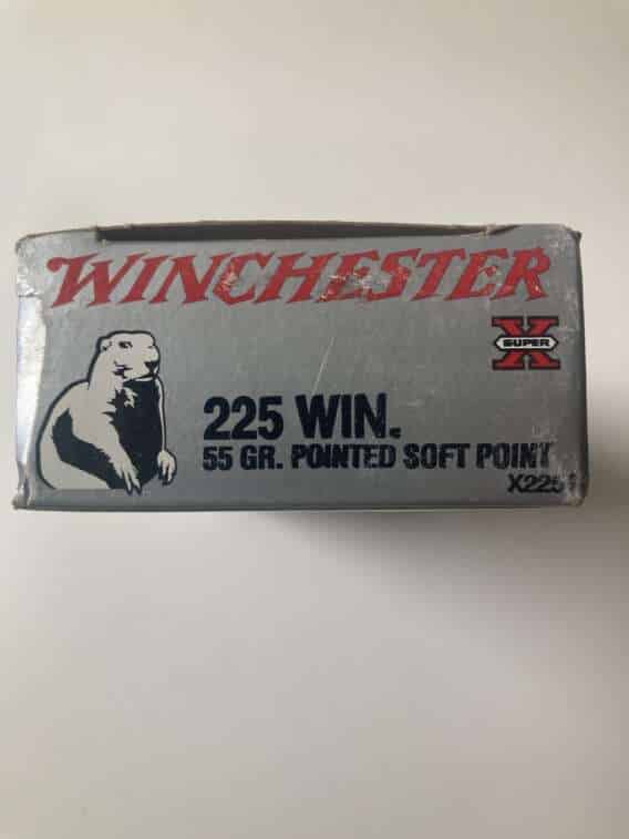 225 Winchester 55 grain PSP