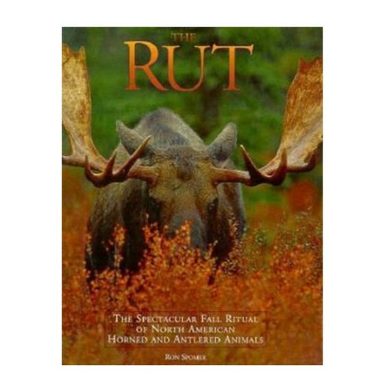 The Rut